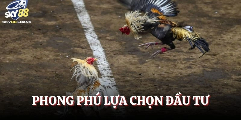 Phong phú lựa chọn đầu tư