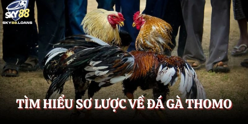 Tìm hiểu sơ lược về siêu phẩm