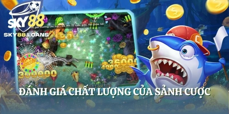 Đánh giá chất lượng của sảnh cược