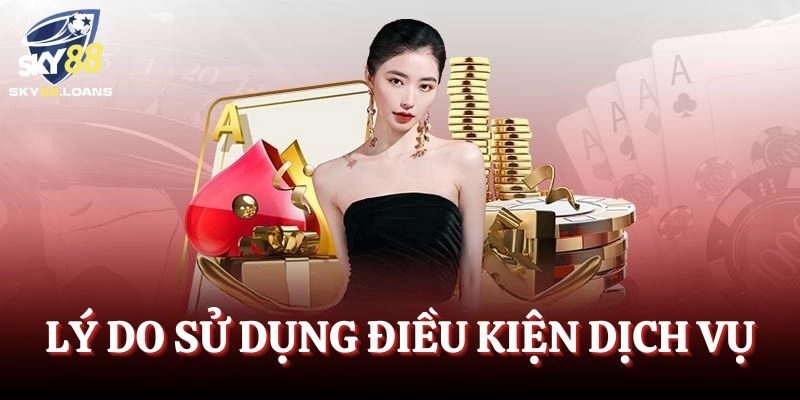 Lý do áp dụng điều khoản dịch vụ