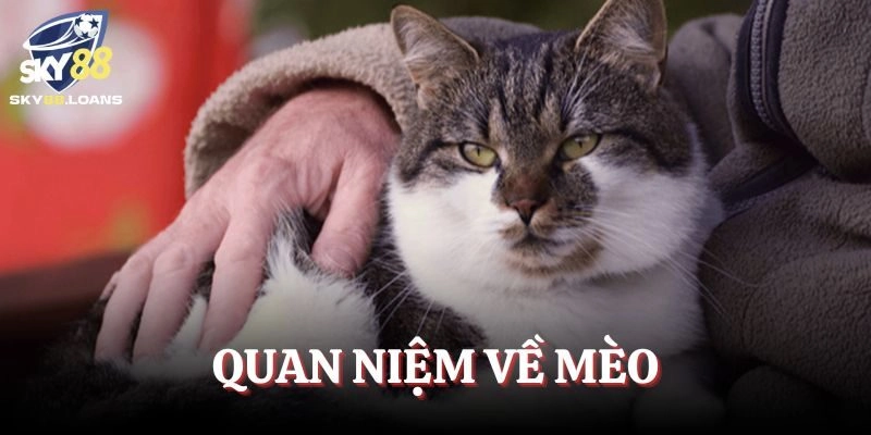 Quan niệm về mèo trong dân gian