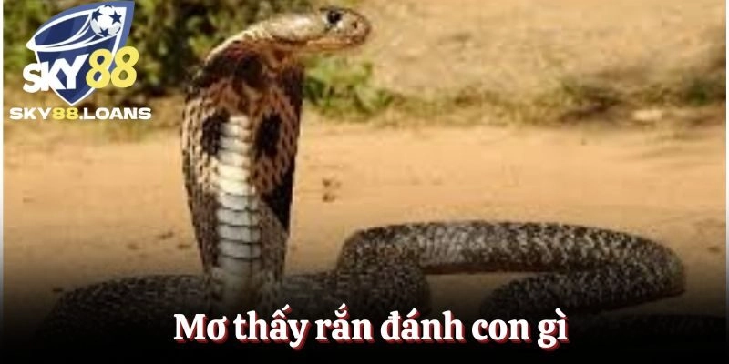 Mơ Thấy Rắn Đánh Con Gì Trúng Lớn, Đổi Đời Tại SKY88?